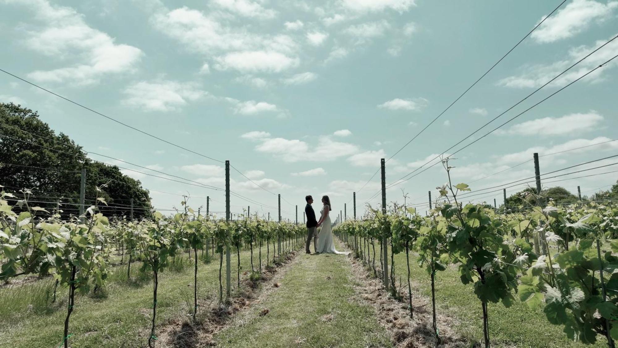 Osborne  Pinkmead Estate And Vineyard 빌라 외부 사진